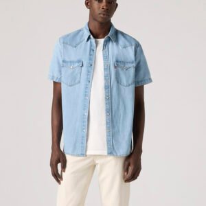 shirts-lvm-ss-8662600-3